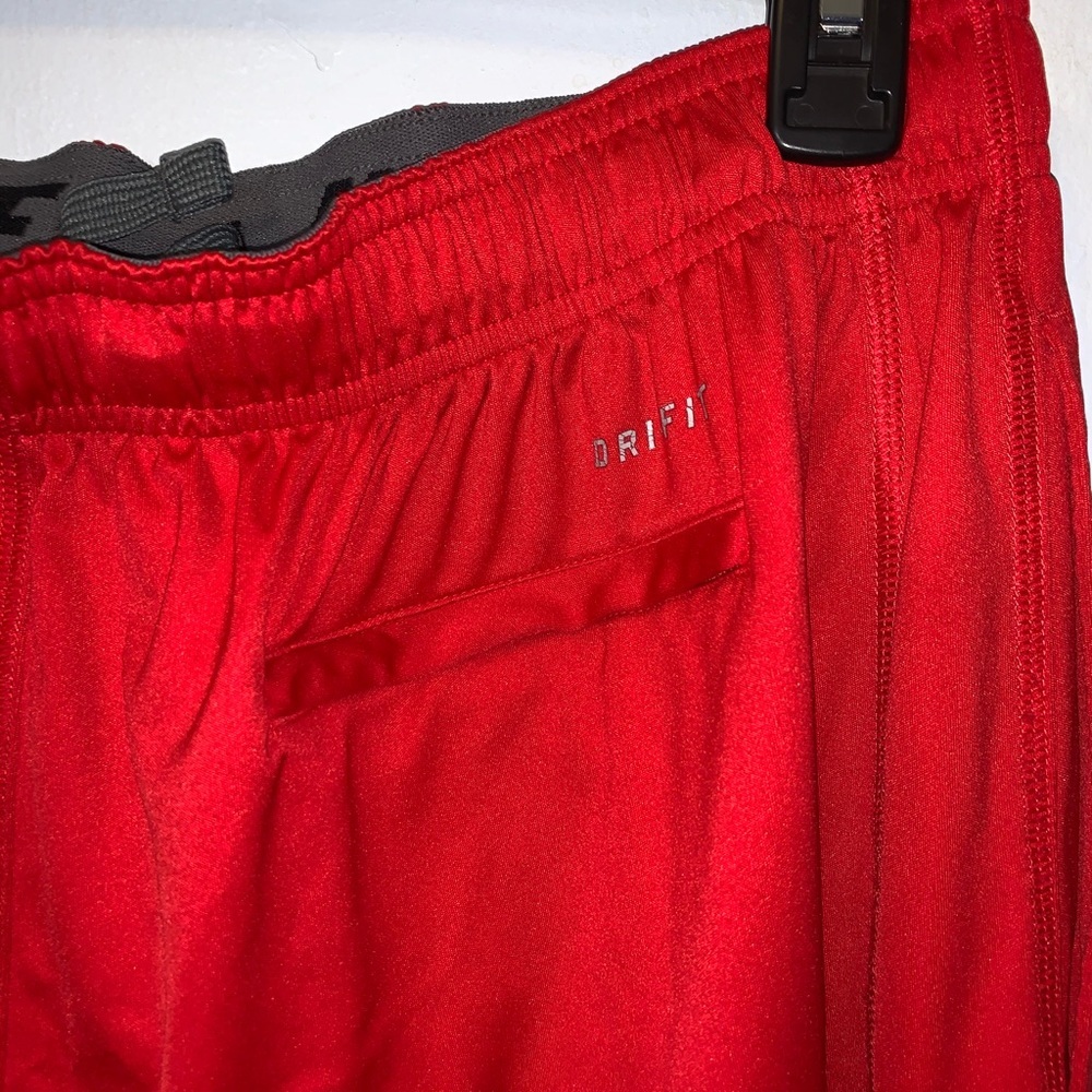 Nike Water Polo Shorts Dri Fit Red Shorts Size L - Picture 4 of 8